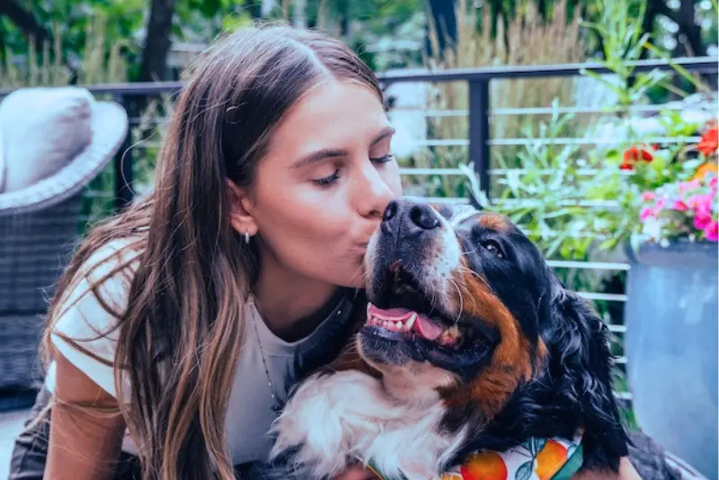 pet grief support