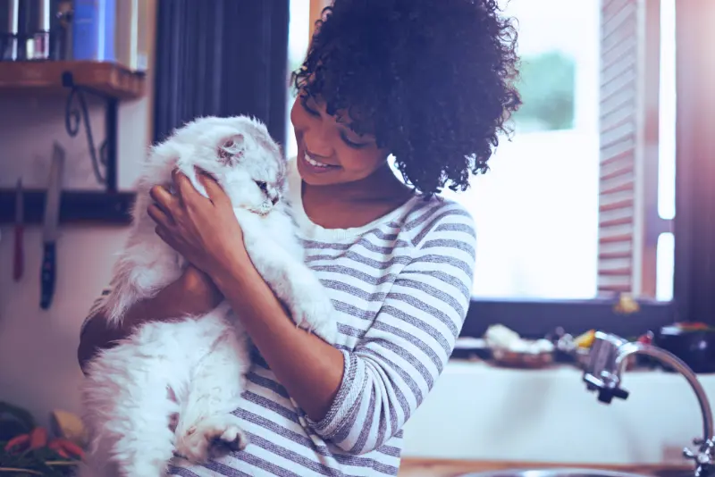 pet grief support