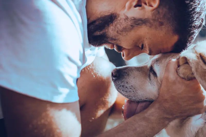 pet grief support