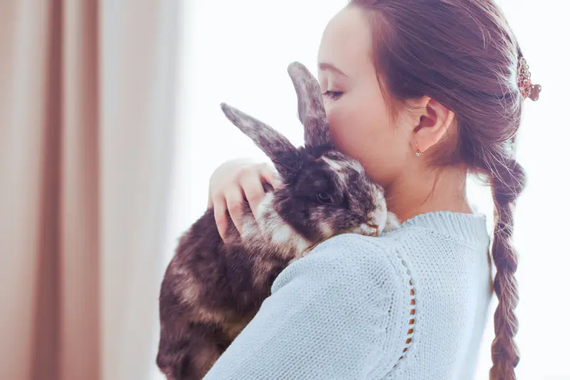 pet grief support