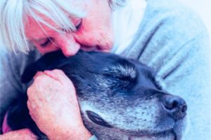 Older woman kissing her senior black dog on the head